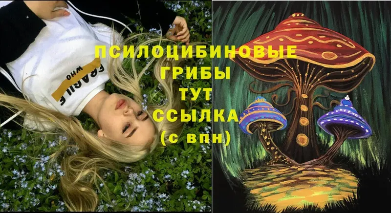 что такое   Уяр  Галлюциногенные грибы Psilocybine cubensis 